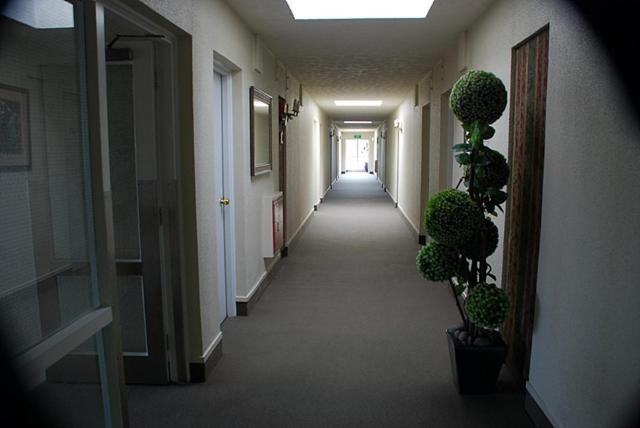 Fountain City Motor Inn Hamilton Extérieur photo